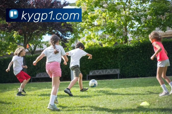 开云集团服务体系